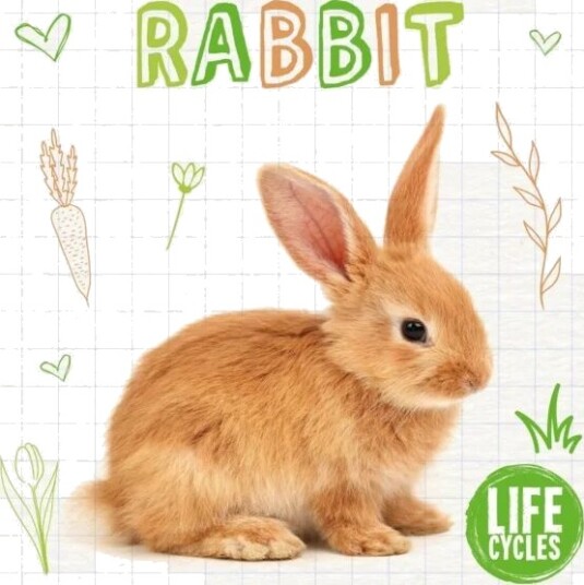 Rabbit Av Shalini Vallepur Rabbit Av Shalini Vallepur