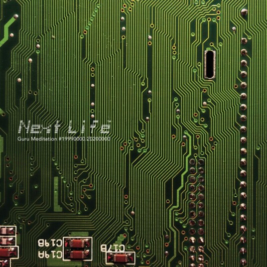Next Life Guru Meditation Vinyl