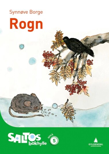 Rogn Av Synnøve Borge