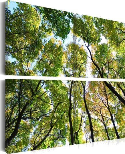Bilde Treetops 40x40 Artgeist sp. z o. o.