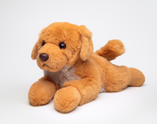 Hund Bamse Buster Golden Retriever | Hilda
