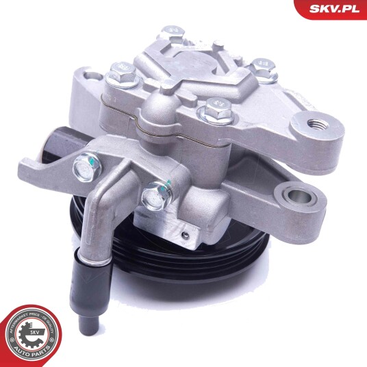 Servopumpe ESEN SKV 10SKV262