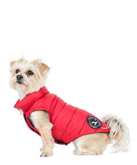 Trespass Dogby Hundejakke Rød XS