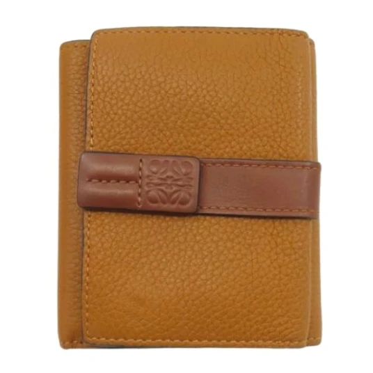 Loewe Pre-owned Dame Pre-owned Brun