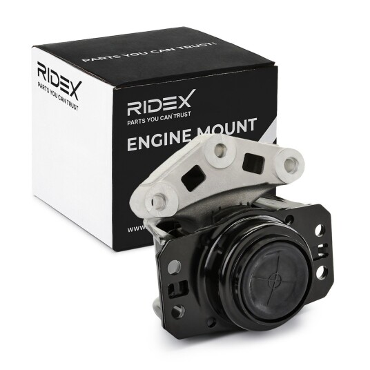 Motorfeste RIDEX 247E1109