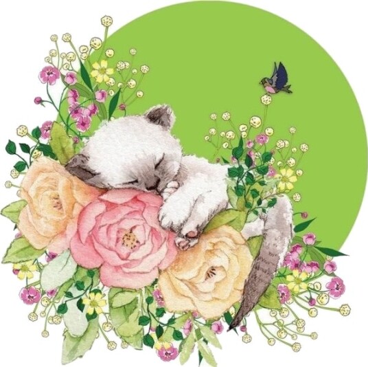 Swarovski Firkantet Carnet Cl2002 Katt