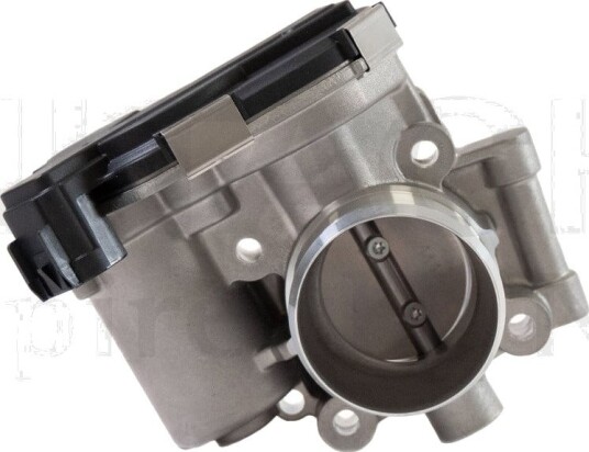 Gasspjeld HITACHI 2509008