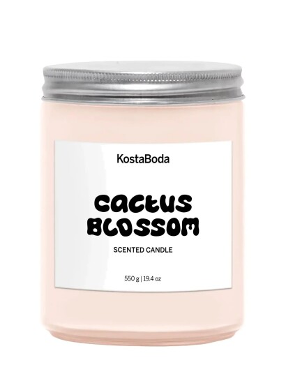 Kosta Boda Mind Doftljus 550Gr Cactus Blossom   Silver   10.2