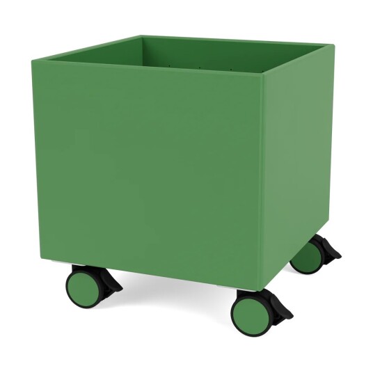 Montana Colour Box I - S6161 Parsley Montana Colour Box I - S6161 Parsley