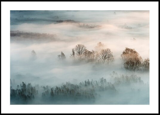 Marco Galimberti Winter fog Plakat / 50x70cm