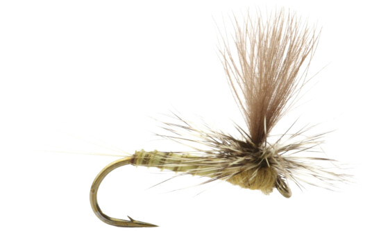 Umpqua Biot dun Aurivillii - 12 oneSize none Umpqua Biot dun Aurivillii - 12 oneSize none