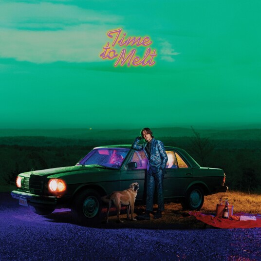 Sam Evian Time To Melt LP/Vinyl Sam Evian Time To Melt LP/Vinyl