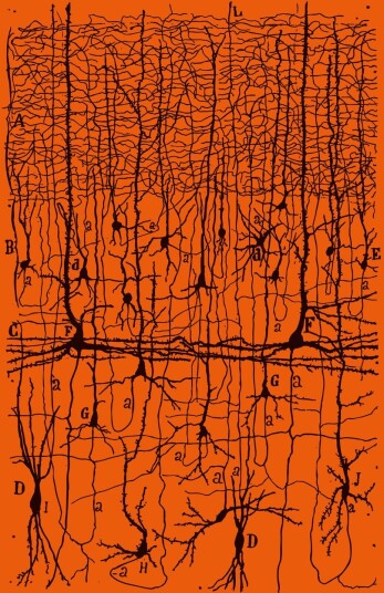 Parapoetica