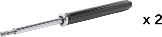 RIDEX 854S21191 Støtdemper