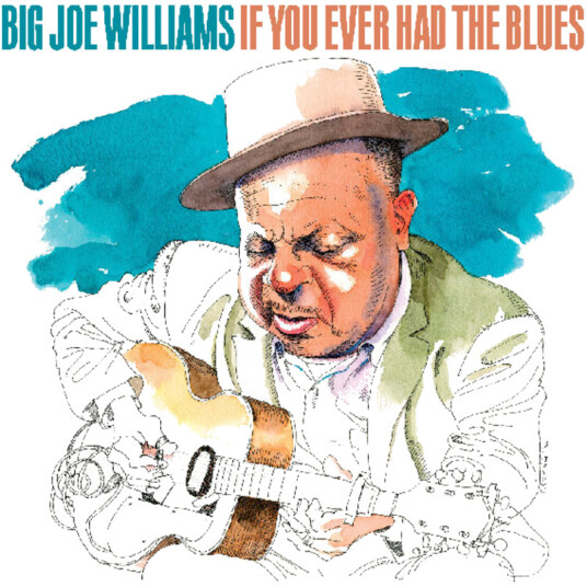Big Joe Williams If You Ever Had The Blues CD