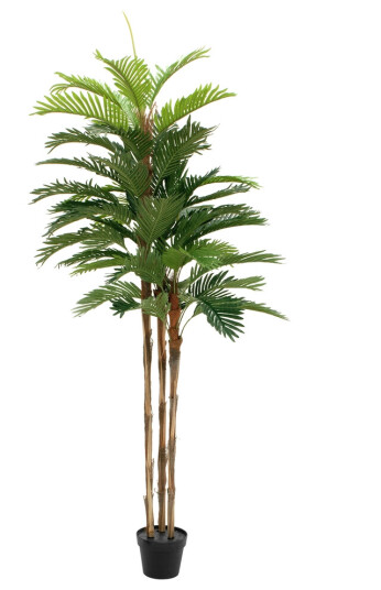 Europalms Kentia Palm Tree, Artificial Plant, 180cm Europalms Kentia Palm Tree, Artificial Plant, 180cm