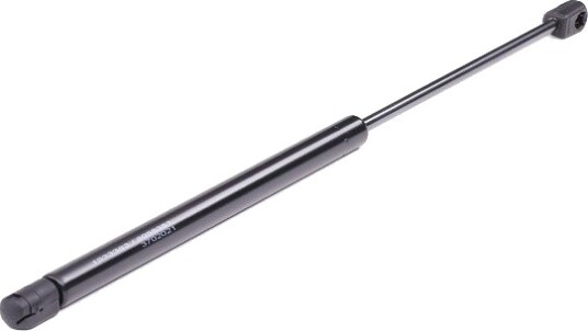 RIDEX 219G0026 Baklukedemper