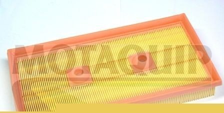 MOTAQUIP VFA1170 Luftfilter