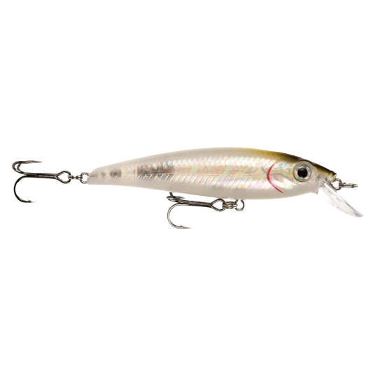Prey Seatrout Target Black Herring Prey Seatrout Target Black Herring