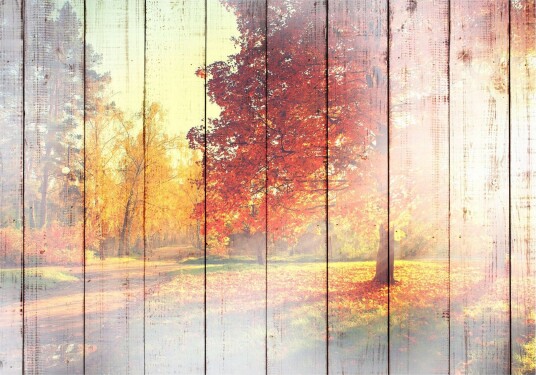 Fototapet Autumn Sun 100x70 - Finnes i flere størrelser