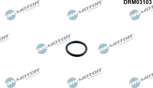 DR.MOTOR AUTOMOTIVE DRM03103 Pakning, termostatkasse