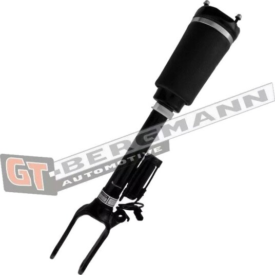 GT-BERGMANN GT25-050 Luftdempere