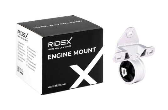Motorfeste RIDEX 247E0127