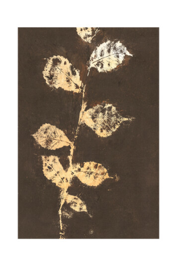 Malerifabrikken Poster Pure Nature 4 1682739-01-48