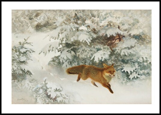 Fox in Winter Landscape By Bruno Liljefors No. 1 Plakat Plakat / 30x40cm