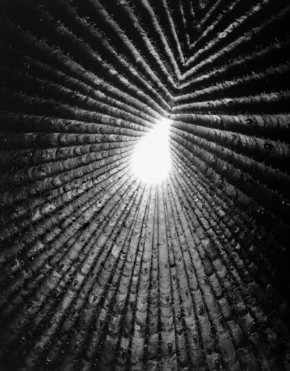 Light Lines Av Juhani Pallasmaa, Vicky Richardson Light Lines Av Juhani Pallasmaa, Vicky Richardson