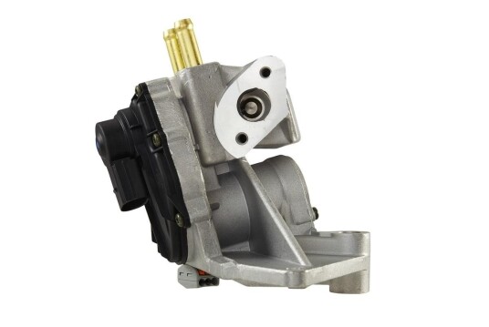 EGR Ventil HELLA 6NU 010 171-721