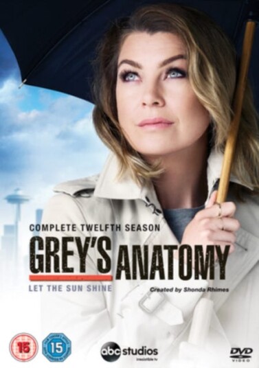 Grey's Anatomy Sesong 12 DVD Grey's Anatomy Sesong 12 DVD