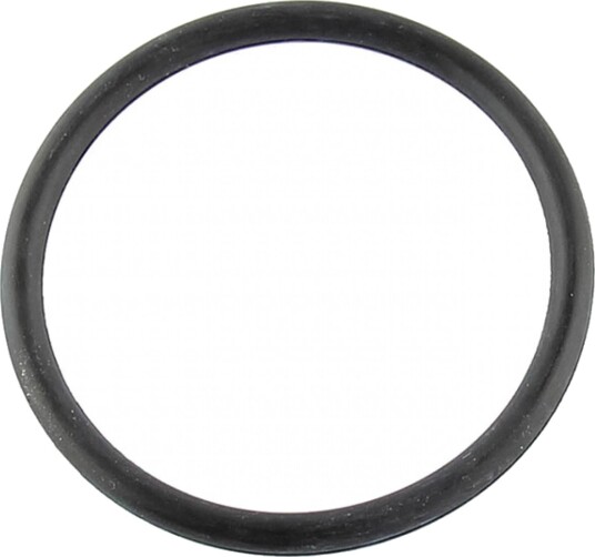 Tetning innsugningsmanifold Professional Parts 21437381