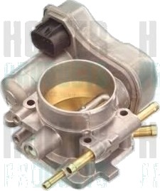 Gasspjeld HOFFER 7519033
