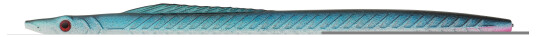 Kinetic Tobias Inline Kinetic Tobias Inline