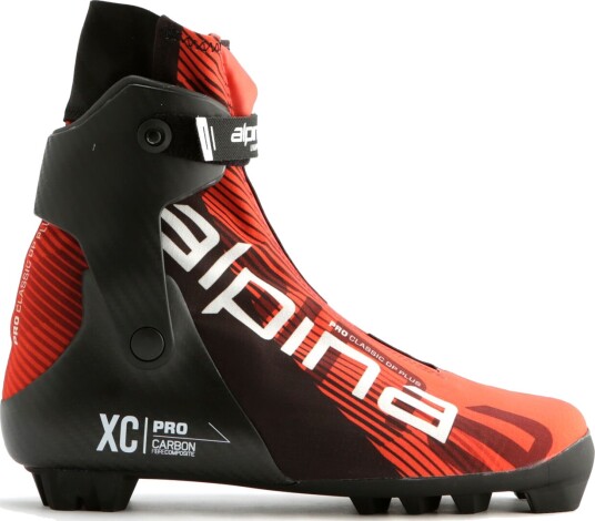 Alpina Pro DP plus skisko 24/25 AL53A21 41 (2024)
