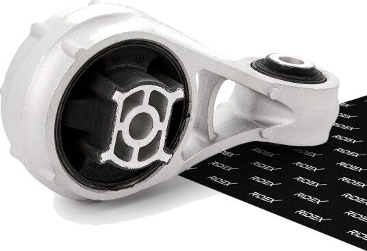 RIDEX 247E1535 Motorfeste