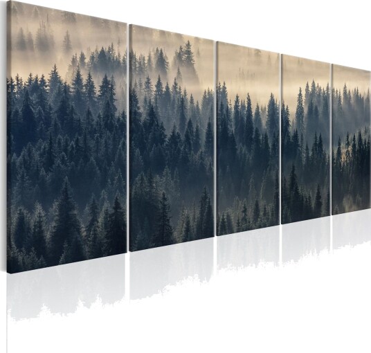 Bilde Fir In The Fog 225x90 Artgeist sp. z o. o.