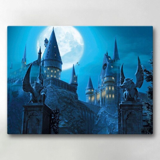 Lerretsbilde / Bilde - Harry Potter - 40x30 cm - Lerret Lerretsbilde / Bilde - Harry Potter - 40x30 cm - Lerret