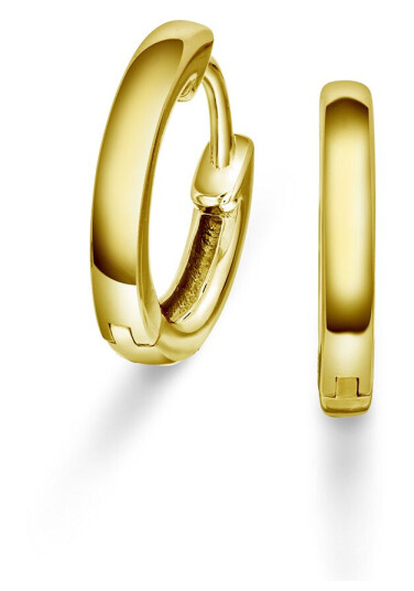 Pan Jewelry, Øreringer i 925 forgylt sølv Pan Jewelry, Øreringer i 925 forgylt sølv