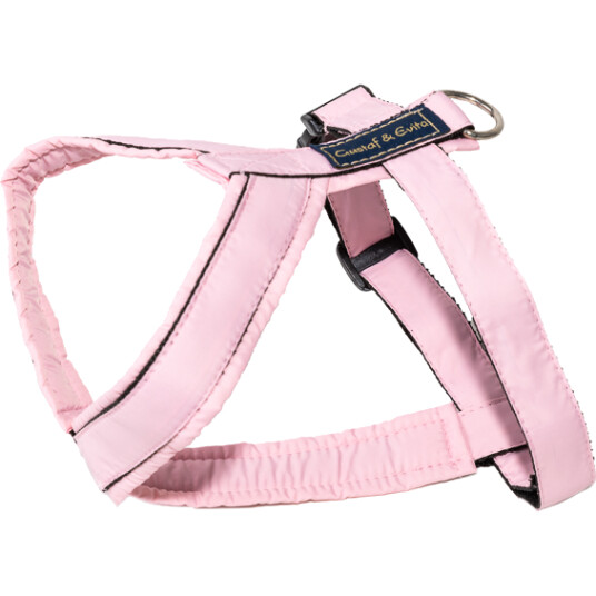 Sele Pro Rosa nr. 3