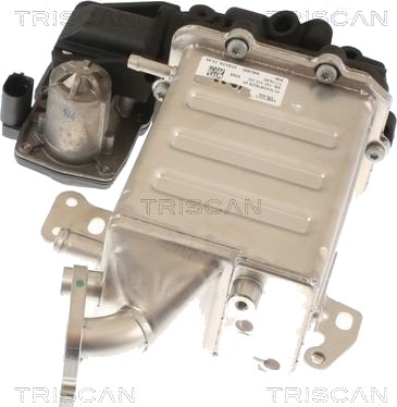 EGR ventil TRISCAN 8813 29005