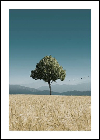 Green Tree In The Field Plakat Plakat / 100x150cm