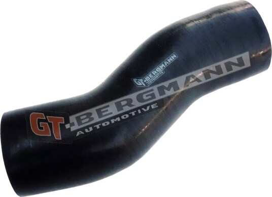 GT BERGMANN GT52 261 Ladeluftslange