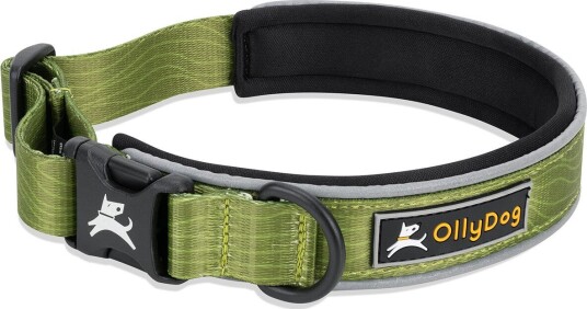 Ollydog Flagstaff Reflective Comfort Collar Cactus M Cactus