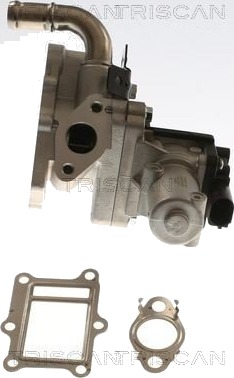 EGR ventil TRISCAN 8813 43017