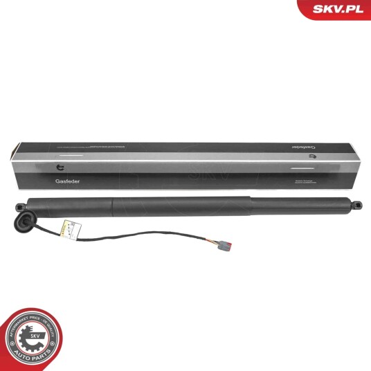 Elektromotor bakluke ESEN SKV 52SKV207