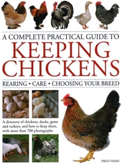 Keeping Chickens, Complete Practical Guide To Av Fred Hams