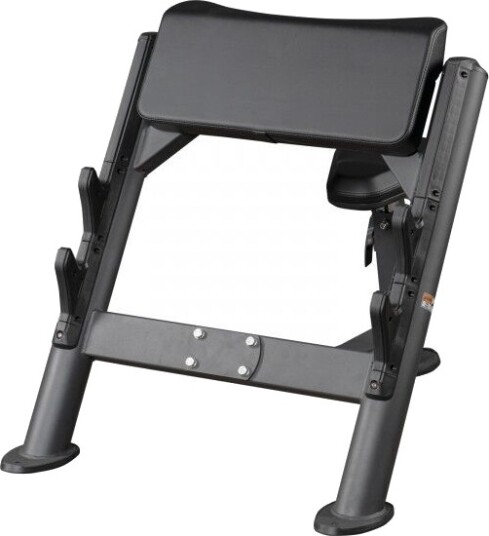 Taurus Elite Preacher Curl Curlpult Taurus Elite Preacher Curl Curlpult