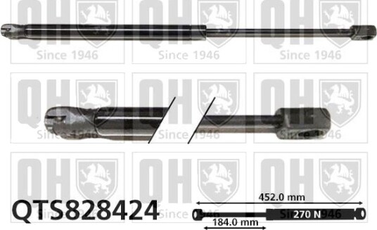 QUINTON HAZELL QTS828424 Baklukedemper